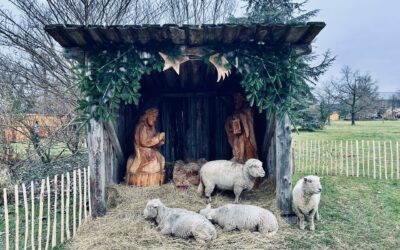 Fröhlichen Advent!
